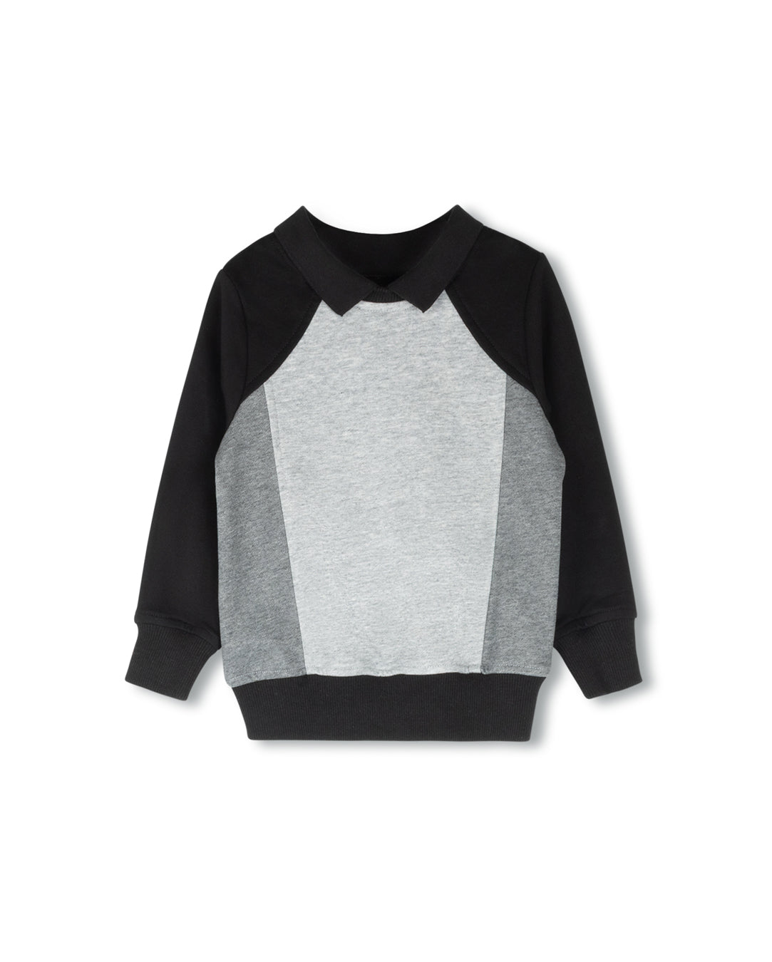 colorblock polo