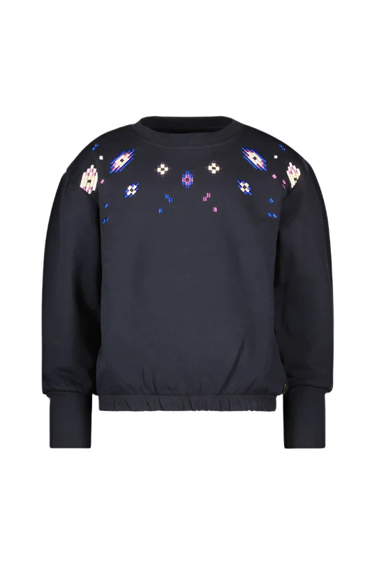 Embroidered sweatshirt