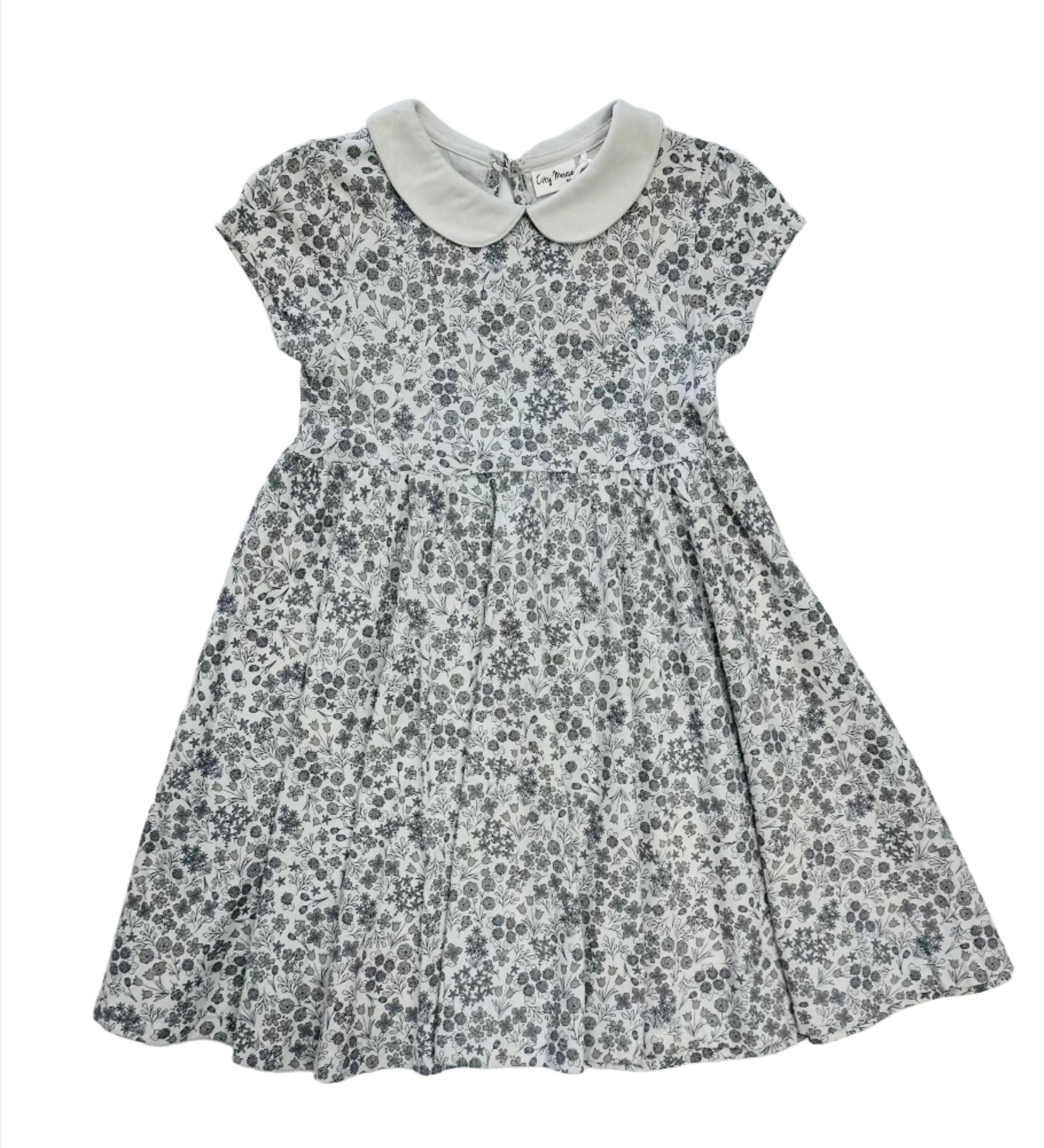 peter pan print dress