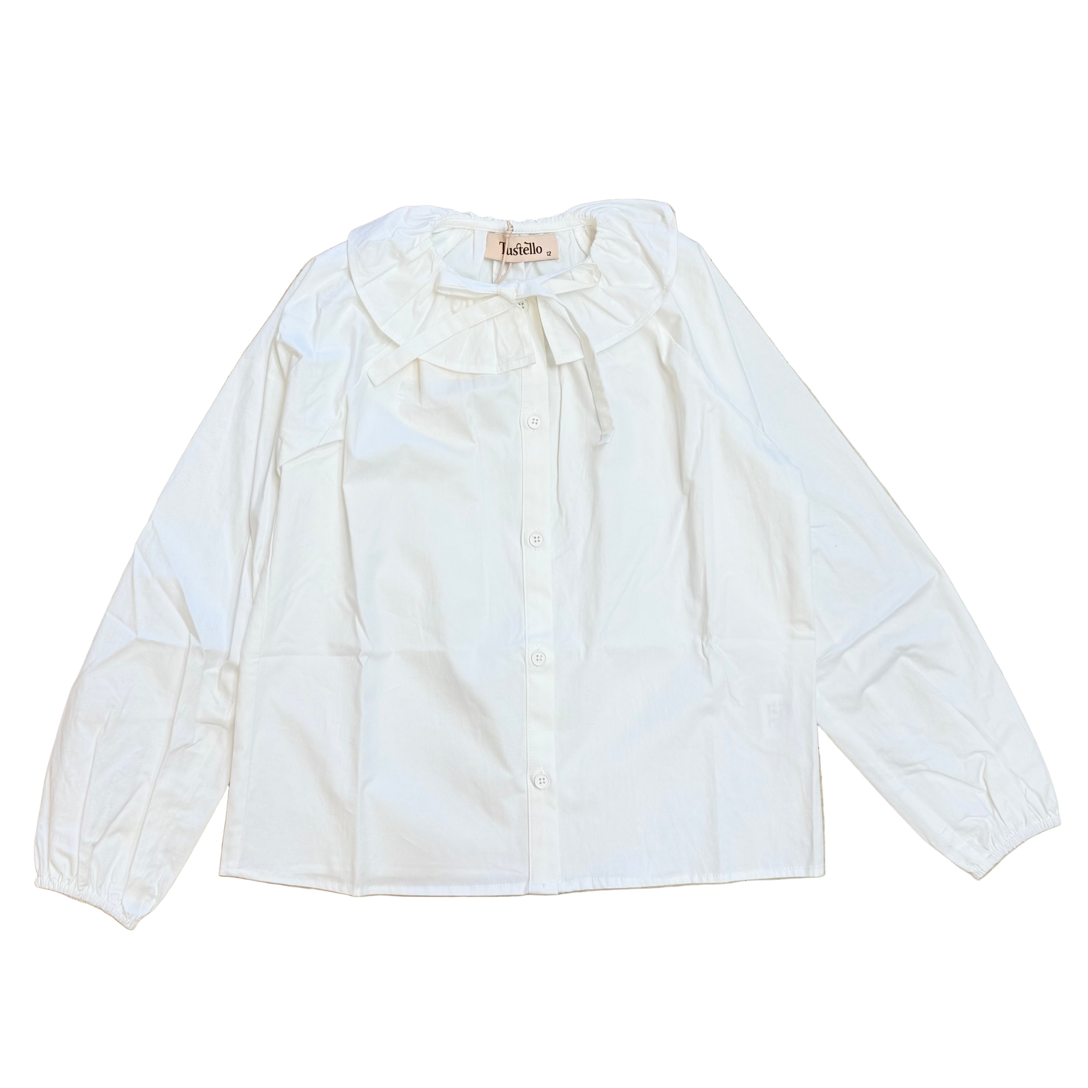 poplin ruffle collar blouse