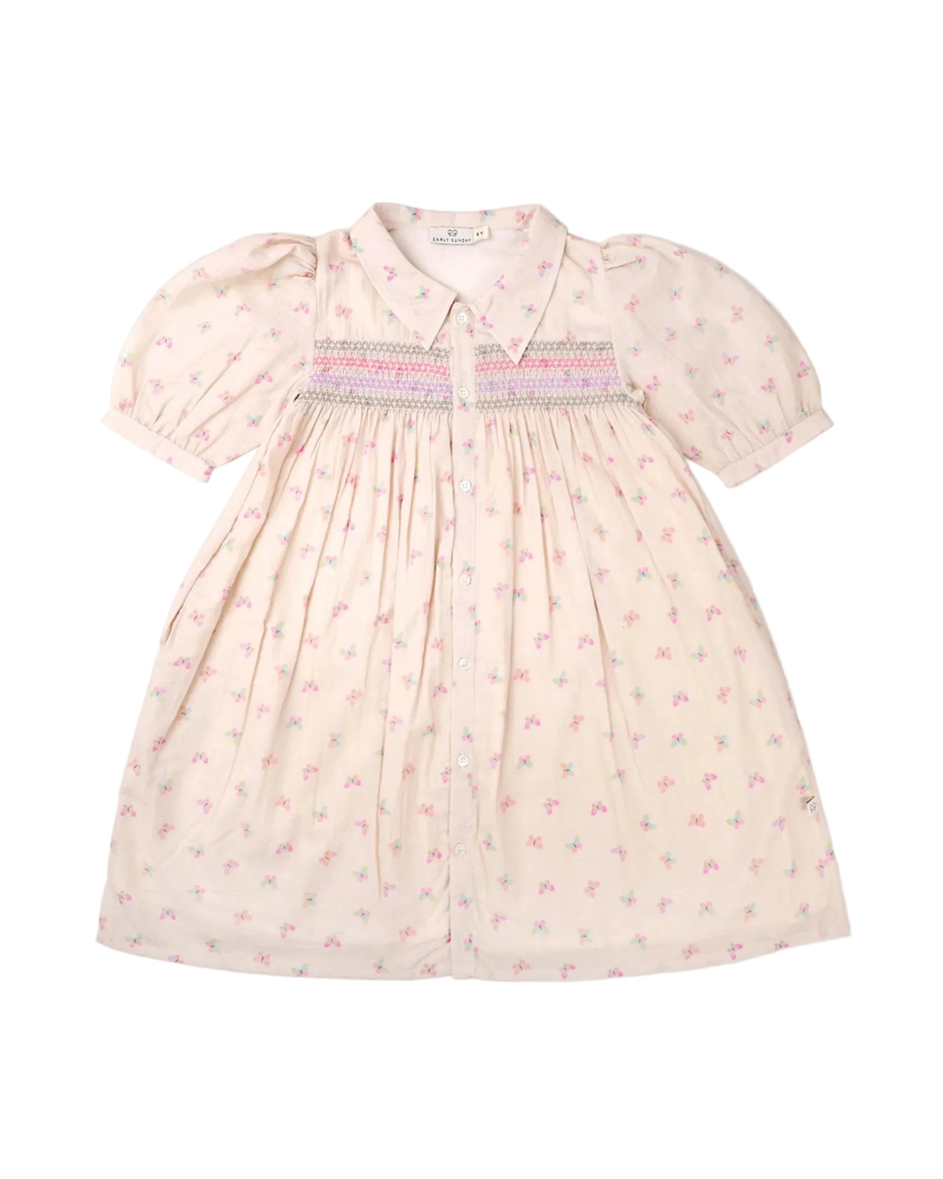 Jane Dress Butterfly Print