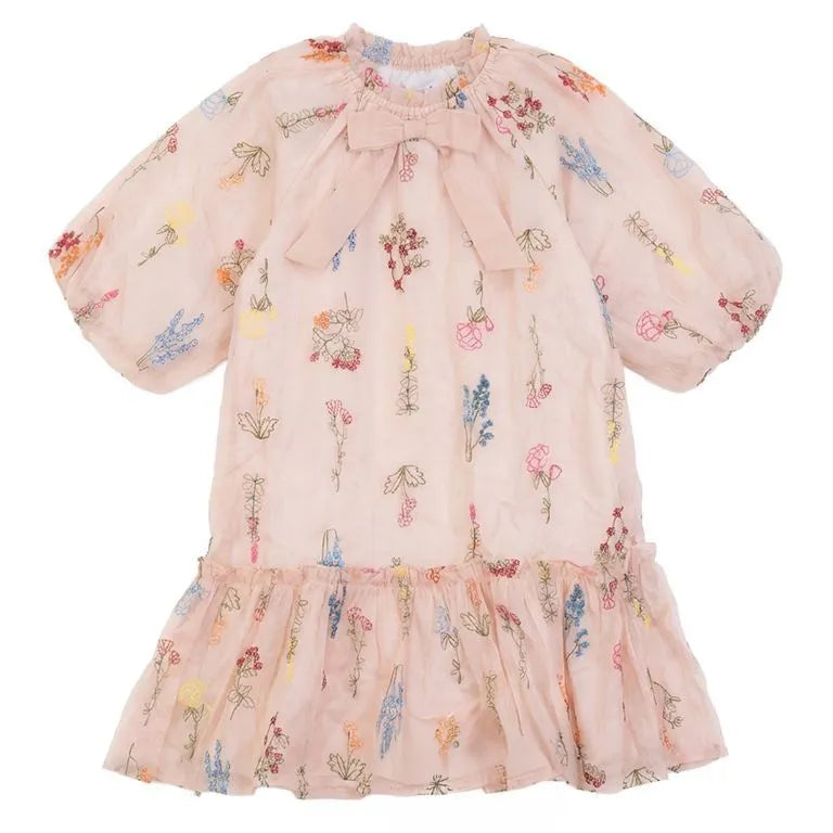 Puff Sleeve Embroidered Dress